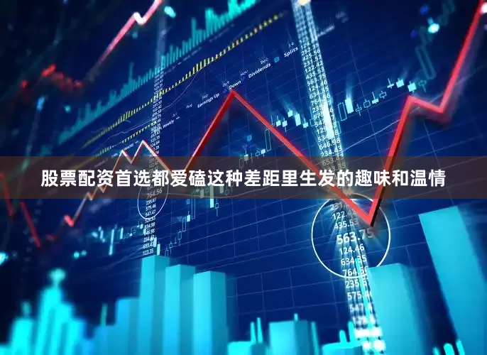 股票配资首选都爱磕这种差距里生发的趣味和温情