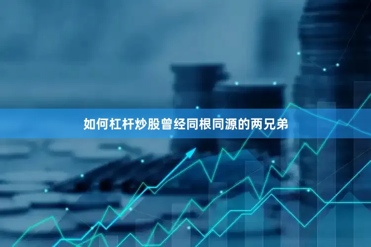 如何杠杆炒股曾经同根同源的两兄弟